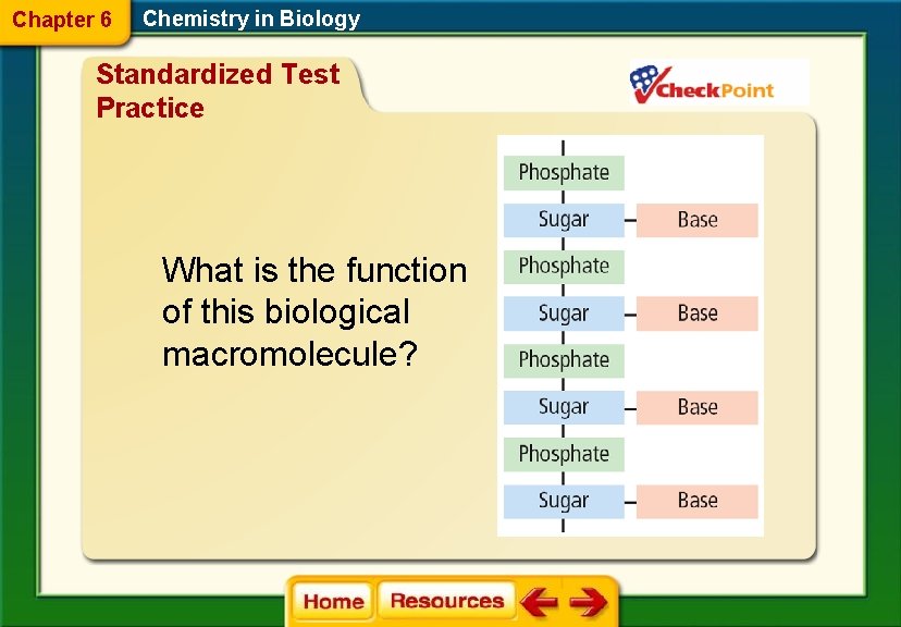 Chapter 6 Chemistry in Biology Standardized Test Practice What is the function of this