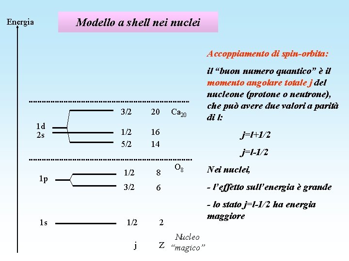 Modello a shell nei nuclei Energia Accoppiamento di spin-orbita: 1 d 2 s 1