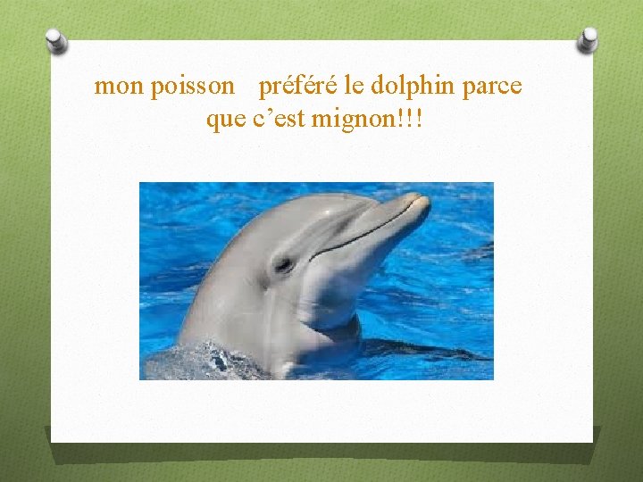 mon poisson préféré le dolphin parce que c’est mignon!!! 