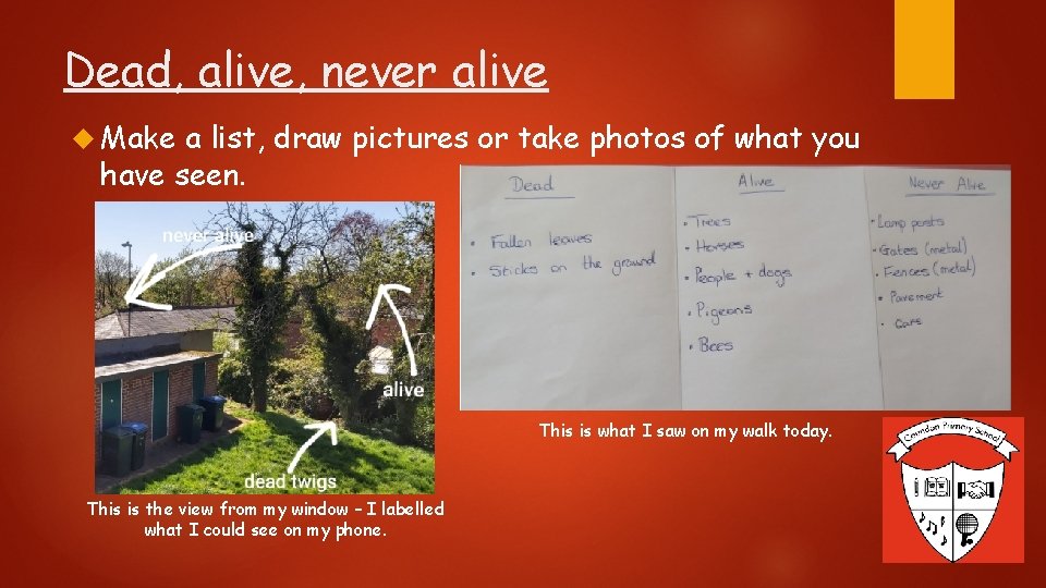 Dead, alive, never alive Make a list, draw pictures or take photos of what