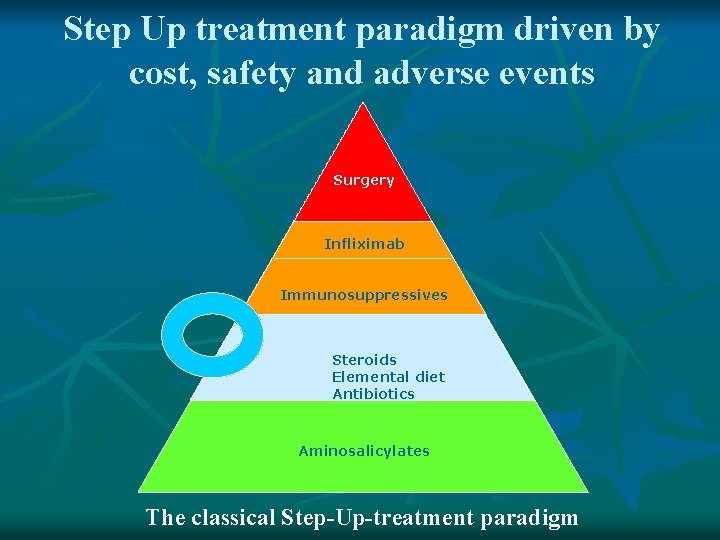 Step Up treatment paradigm driven by cost, safety and adverse events Surgery Infliximab Immunosuppressives