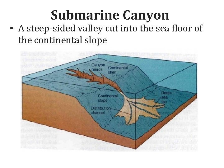 Submarine Canyon • A steep-sided valley cut into the sea floor of the continental