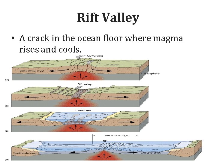 Rift Valley • A crack in the ocean floor where magma rises and cools.