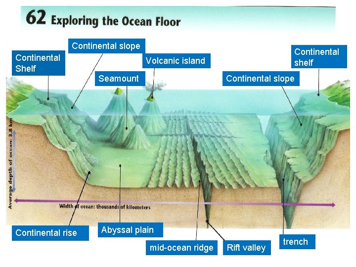 Continental slope Continental Shelf Volcanic island Seamount Continental rise Continental shelf Continental slope Abyssal
