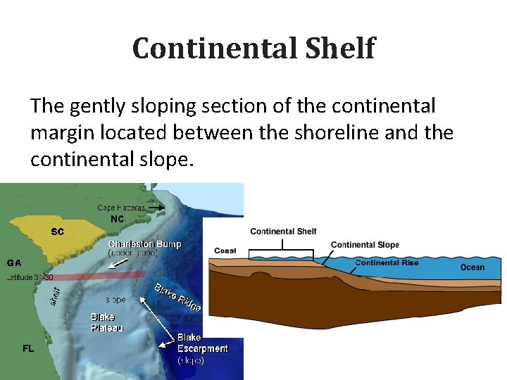 Continental Shelf The gently sloping section of the continental margin located between the shoreline