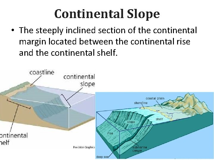 Continental Slope • The steeply inclined section of the continental margin located between the