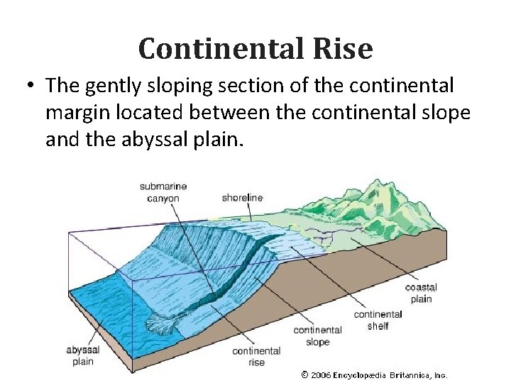 Continental Rise • The gently sloping section of the continental margin located between the