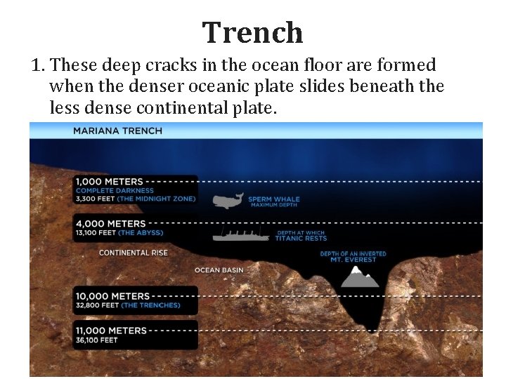 Trench 1. These deep cracks in the ocean floor are formed when the denser