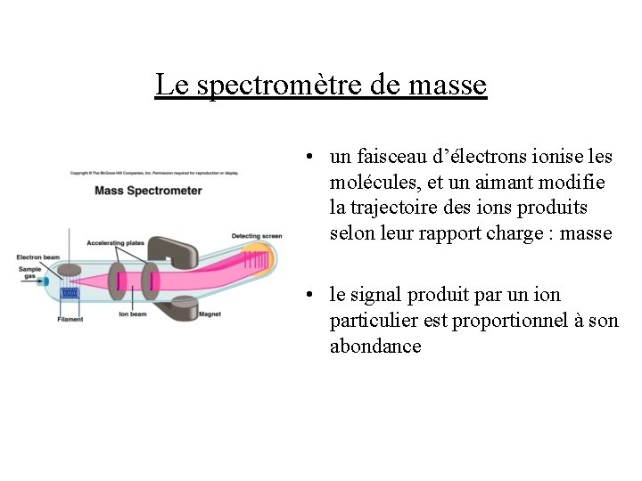 Le spectromètre de masse • un faisceau d’électrons ionise les molécules, et un aimant