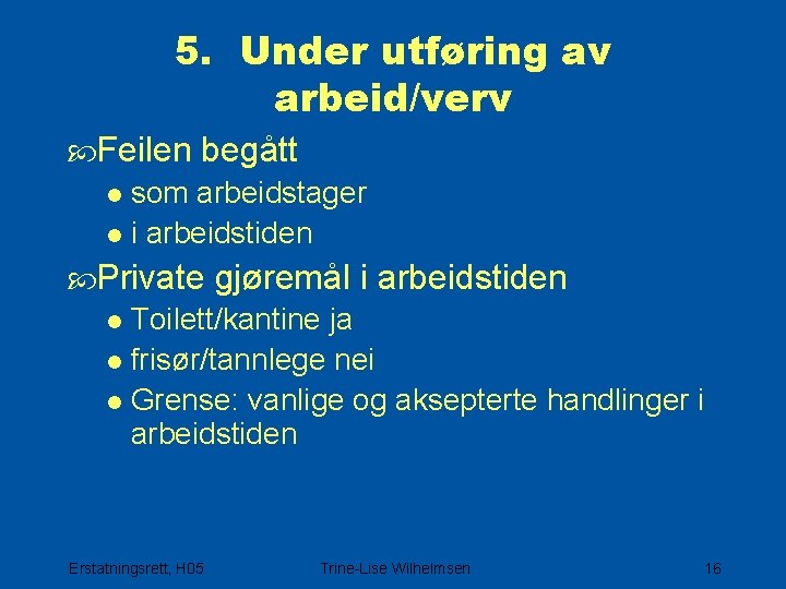 5. Under utføring av arbeid/verv Feilen begått l som arbeidstager l i arbeidstiden Private