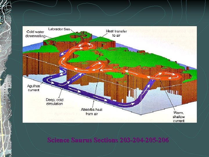 Science Saurus Sections 203 -204 -205 -206 