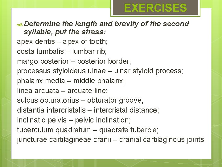 EXERCISES Determine the length and brevity of the second syllable, put the stress: apex EXERCISES Determine the length and brevity of the second syllable, put the stress: apex