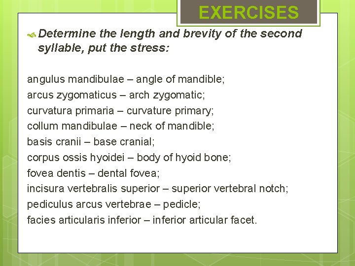 EXERCISES Determine the length and brevity of the second syllable, put the stress: angulus EXERCISES Determine the length and brevity of the second syllable, put the stress: angulus