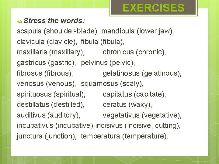 EXERCISES Stress the words: scapula (shoulder-blade), mandibula (lower jaw), clavicula (clavicle), fibula (fibula), maxillaris