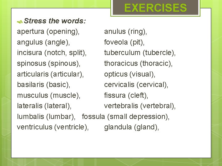 EXERCISES Stress the words: apertura (opening), anulus (ring), angulus (angle), foveola (pit), incisura (notch, EXERCISES Stress the words: apertura (opening), anulus (ring), angulus (angle), foveola (pit), incisura (notch,