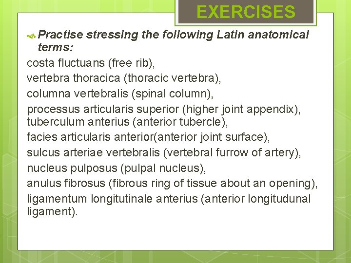 EXERCISES Practise stressing the following Latin anatomical terms: costa fluctuans (free rib), vertebra thoracica