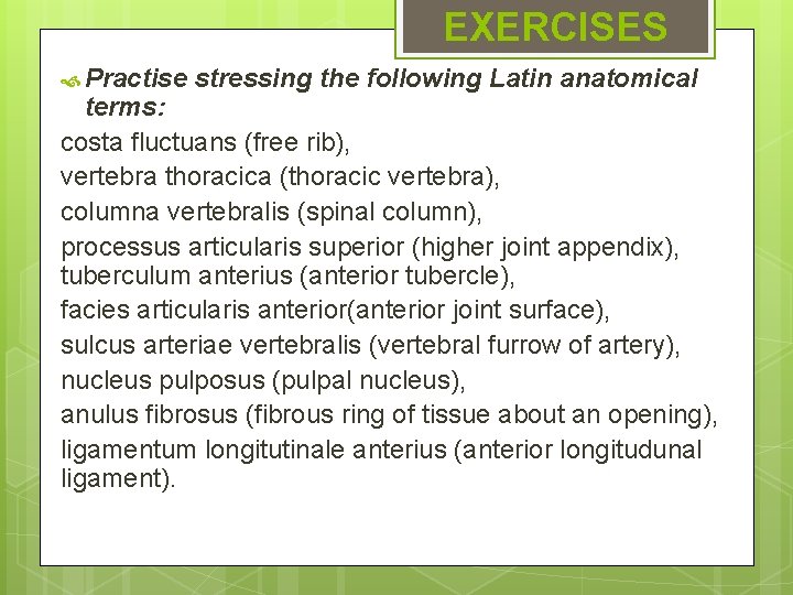 EXERCISES Practise stressing the following Latin anatomical terms: costa fluctuans (free rib), vertebra thoracica EXERCISES Practise stressing the following Latin anatomical terms: costa fluctuans (free rib), vertebra thoracica