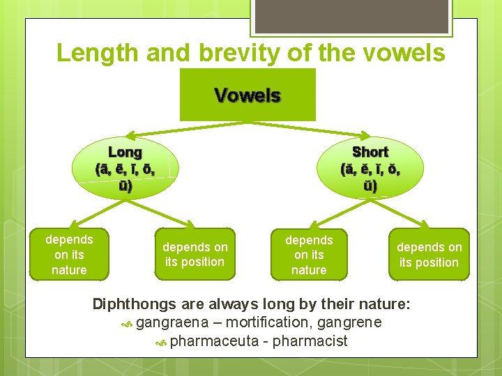 Length and brevity of the vowels Vowels Long (ā, ē, ī, ō, ū) depends