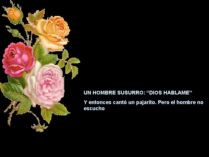 UN HOMBRE SUSURRO: “DIOS HABLAME” Y entonces cantó un pajarito. Pero el hombre no