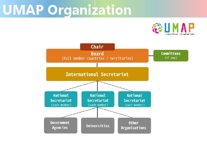 UMAP Organization 