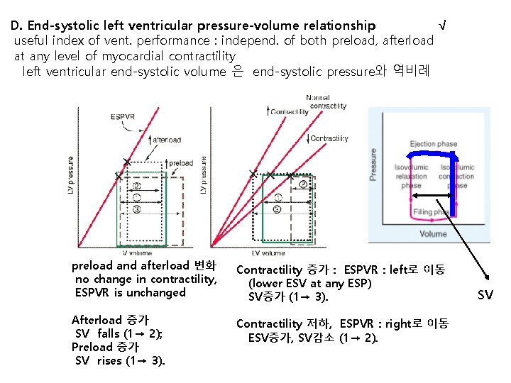 D. End-systolic left ventricular pressure-volume relationship √ useful index of vent. performance : independ.