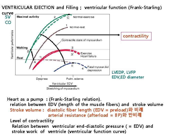 VENTRICULAR EJECTION and Filling ; ventricular function (Frank-Starling) curve SV CO contractility LVEDP, LVFP