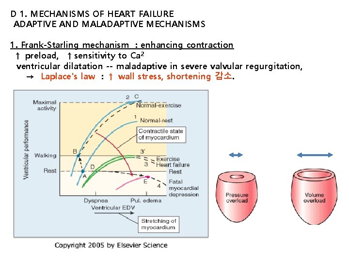 D 1. MECHANISMS OF HEART FAILURE ADAPTIVE AND MALADAPTIVE MECHANISMS 1. Frank-Starling mechanism :