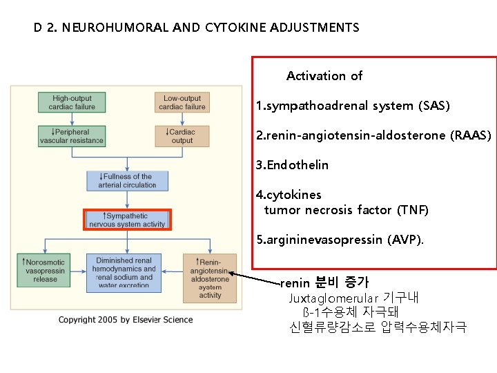 D 2. NEUROHUMORAL AND CYTOKINE ADJUSTMENTS Activation of 1. sympathoadrenal system (SAS) 2. renin-angiotensin-aldosterone