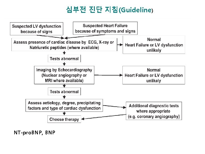 심부전 진단 지침(Guideline) NT-pro. BNP, BNP 