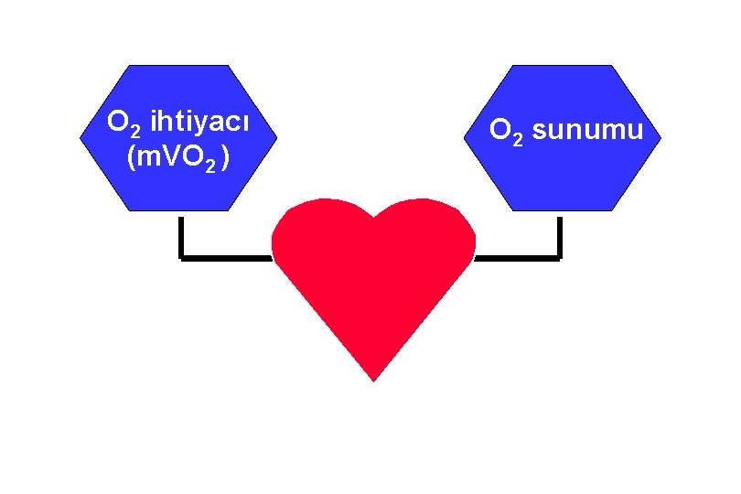 O 2 ihtiyacı (m. VO 2 ) O 2 sunumu 