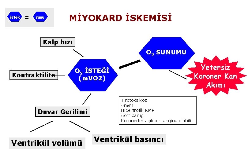 istek = sunu MİYOKARD İSKEMİSİ Kalp hızı O 2 SUNUMU Kontraktilite Yetersiz Koroner Kan
