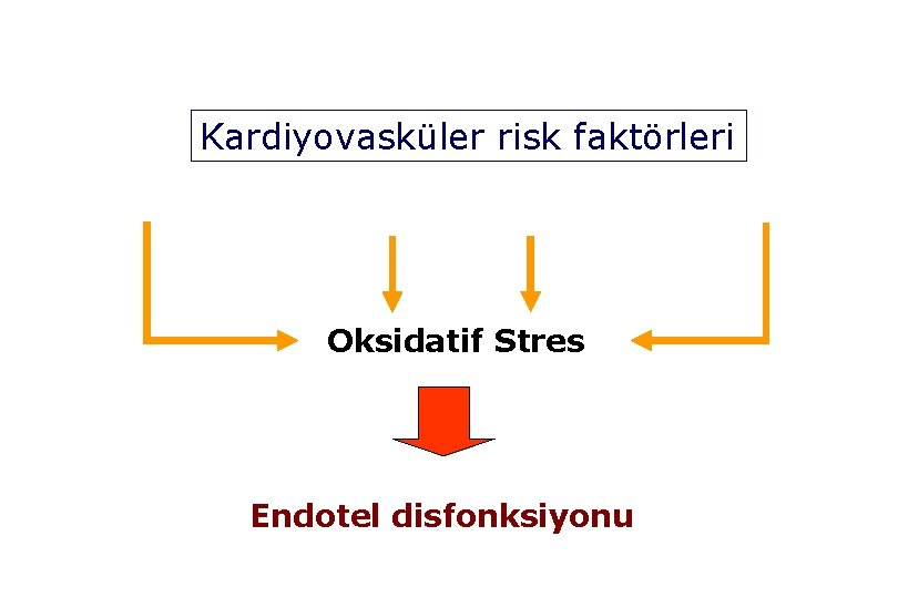 Kardiyovasküler risk faktörleri Oksidatif Stres Endotel disfonksiyonu 