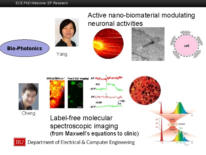 ECE Ph. D Welcome: EP Research Active nano-biomaterial modulating neuronal activities Boston University Slideshow