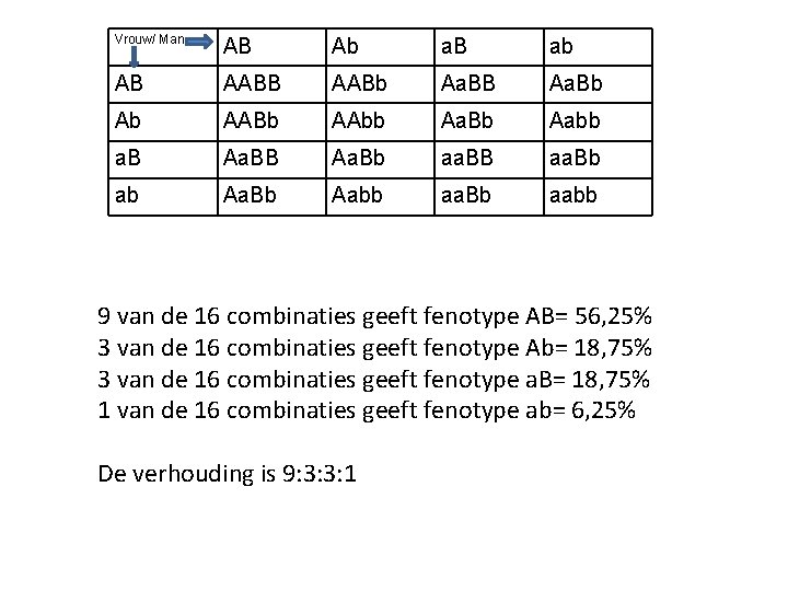 Vrouw/ Man AB Ab a. B ab AB AABb Aa. BB Aa. Bb Ab