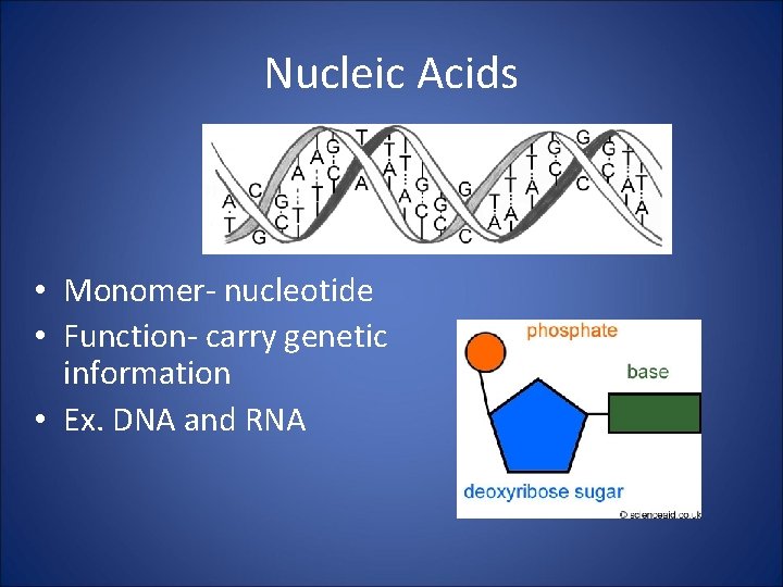 Biology EOC Highlight Review Organic Compounds All living