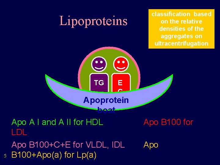 Lipoproteins TG 5 classification based on the relative densities of the aggregates on ultracentrifugation