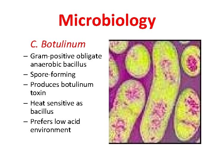 Microbiology C. Botulinum – Gram-positive obligate anaerobic bacillus – Spore-forming – Produces botulinum toxin