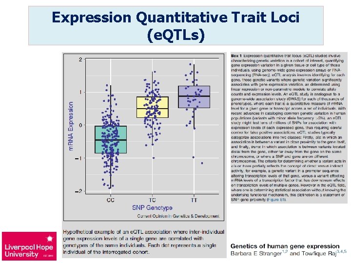 Expression Quantitative Trait Loci (e. QTLs) 