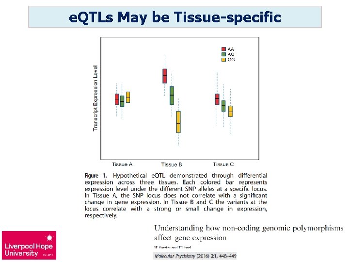 e. QTLs May be Tissue-specific 