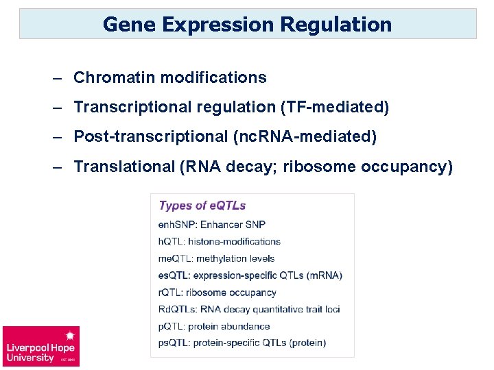 Gene Expression Regulation – Chromatin modifications – Transcriptional regulation (TF-mediated) – Post-transcriptional (nc. RNA-mediated)