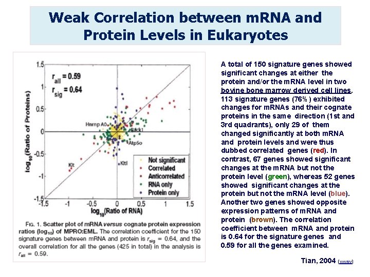 Weak Correlation between m. RNA and Protein Levels in Eukaryotes A total of 150