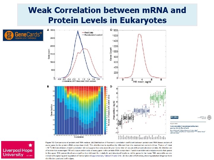 Weak Correlation between m. RNA and Protein Levels in Eukaryotes 