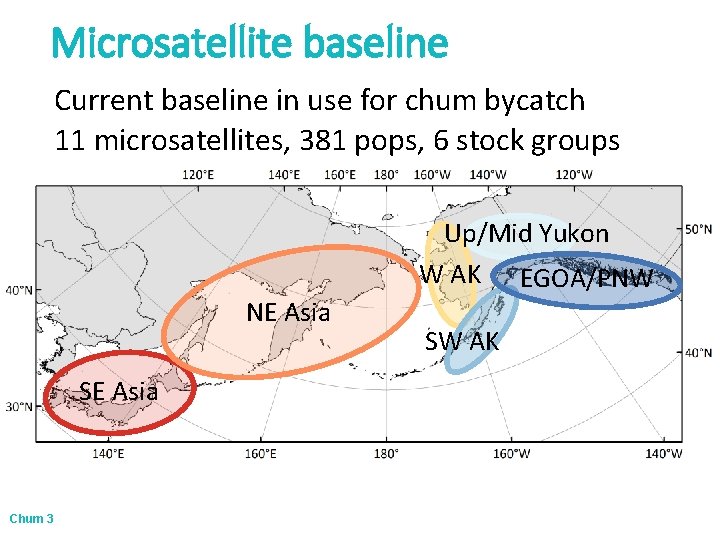 Microsatellite baseline Current baseline in use for chum bycatch 11 microsatellites, 381 pops, 6