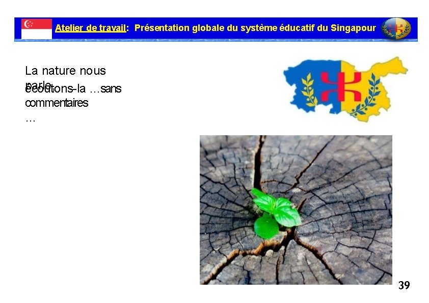 Atelier de travail: Présentation globale du système éducatif du Singapour La nature nous parle,