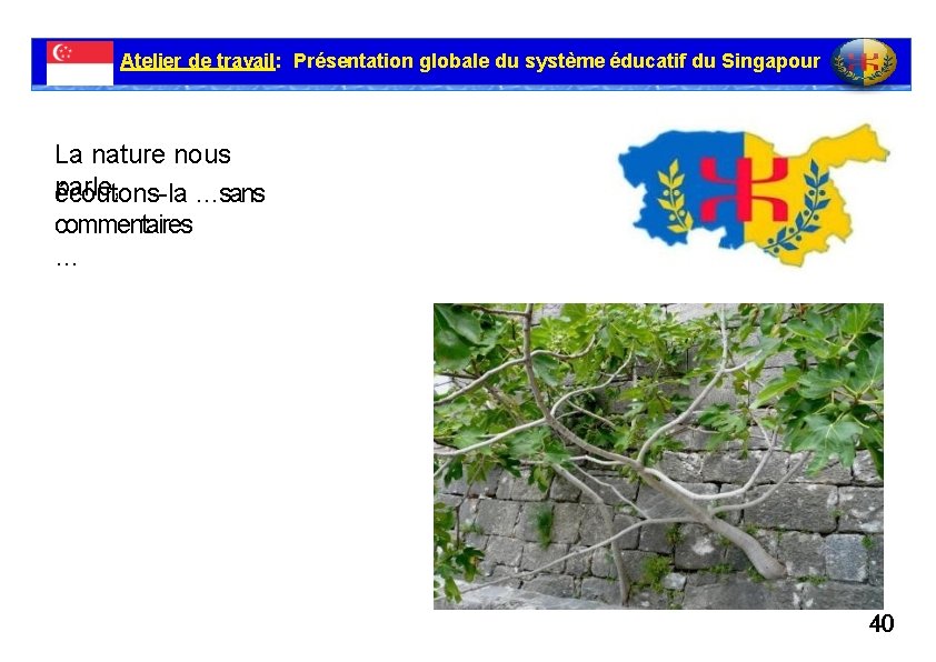 Atelier de travail: Présentation globale du système éducatif du Singapour La nature nous parle,