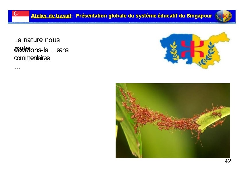 Atelier de travail: Présentation globale du système éducatif du Singapour La nature nous parle,