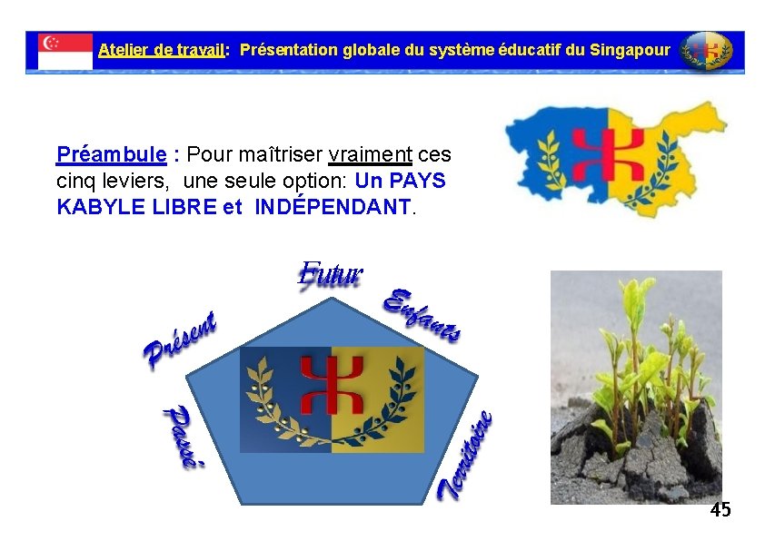 Atelier de travail: Présentation globale du système éducatif du Singapour Préambule : Pour maîtriser