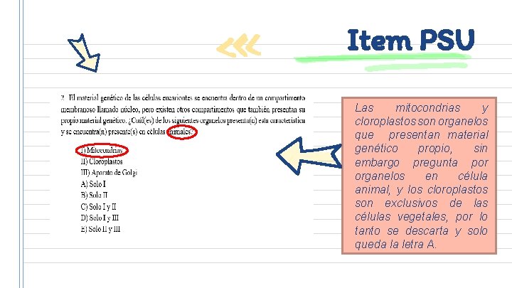 Item PSU Las mitocondrias y cloroplastos son organelos que presentan material genético propio, sin