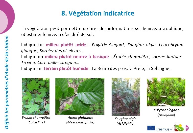 Définir les paramètres d’étude de la station 8. Végétation indicatrice La végétation peut permettre