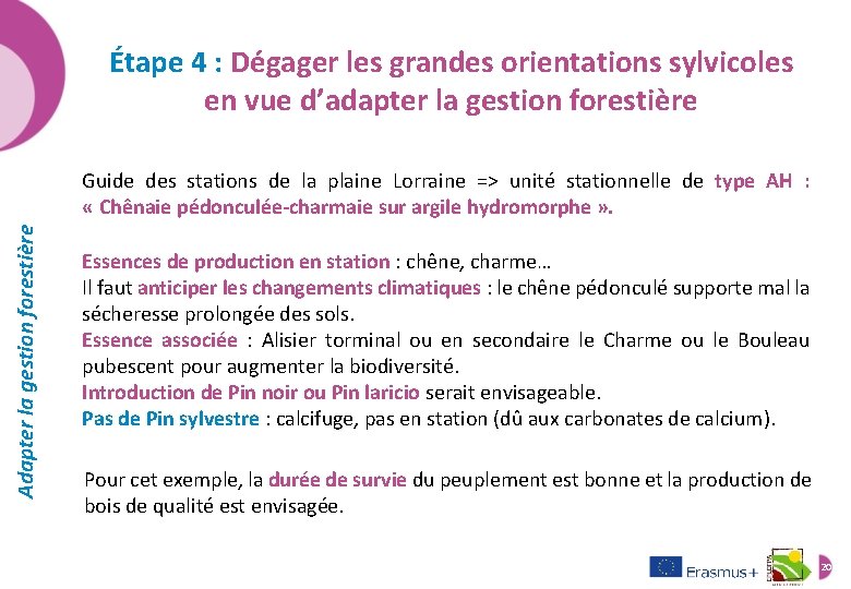 Étape 4 : Dégager les grandes orientations sylvicoles en vue d’adapter la gestion forestière